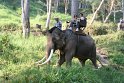 Day 9 - Chiang Mai - Elephant Camp 110